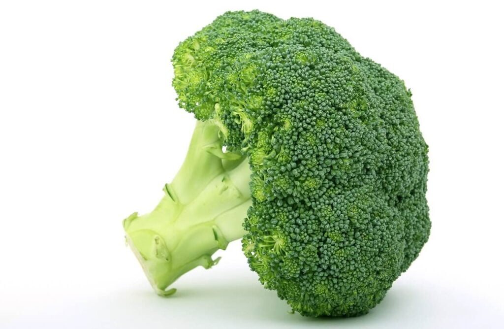 la culture de brocoli